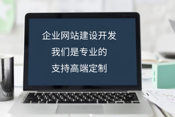 公司企业网站建设